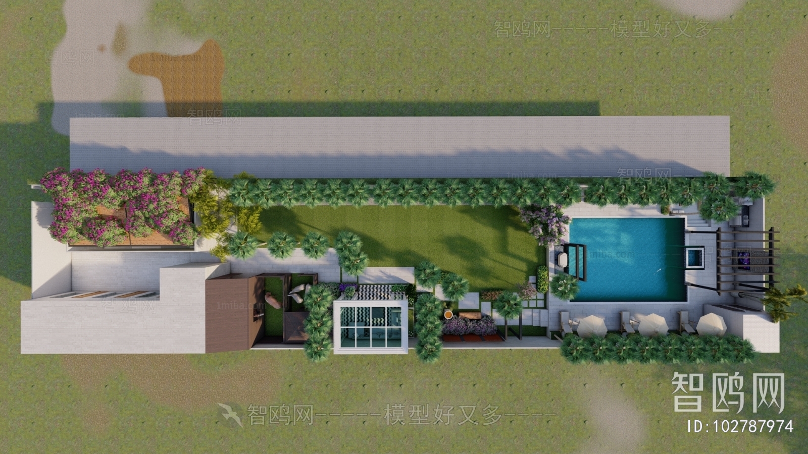 Modern Swimming Pool