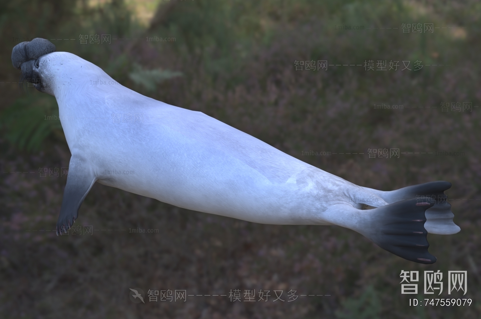 Modern Aquatic Animals