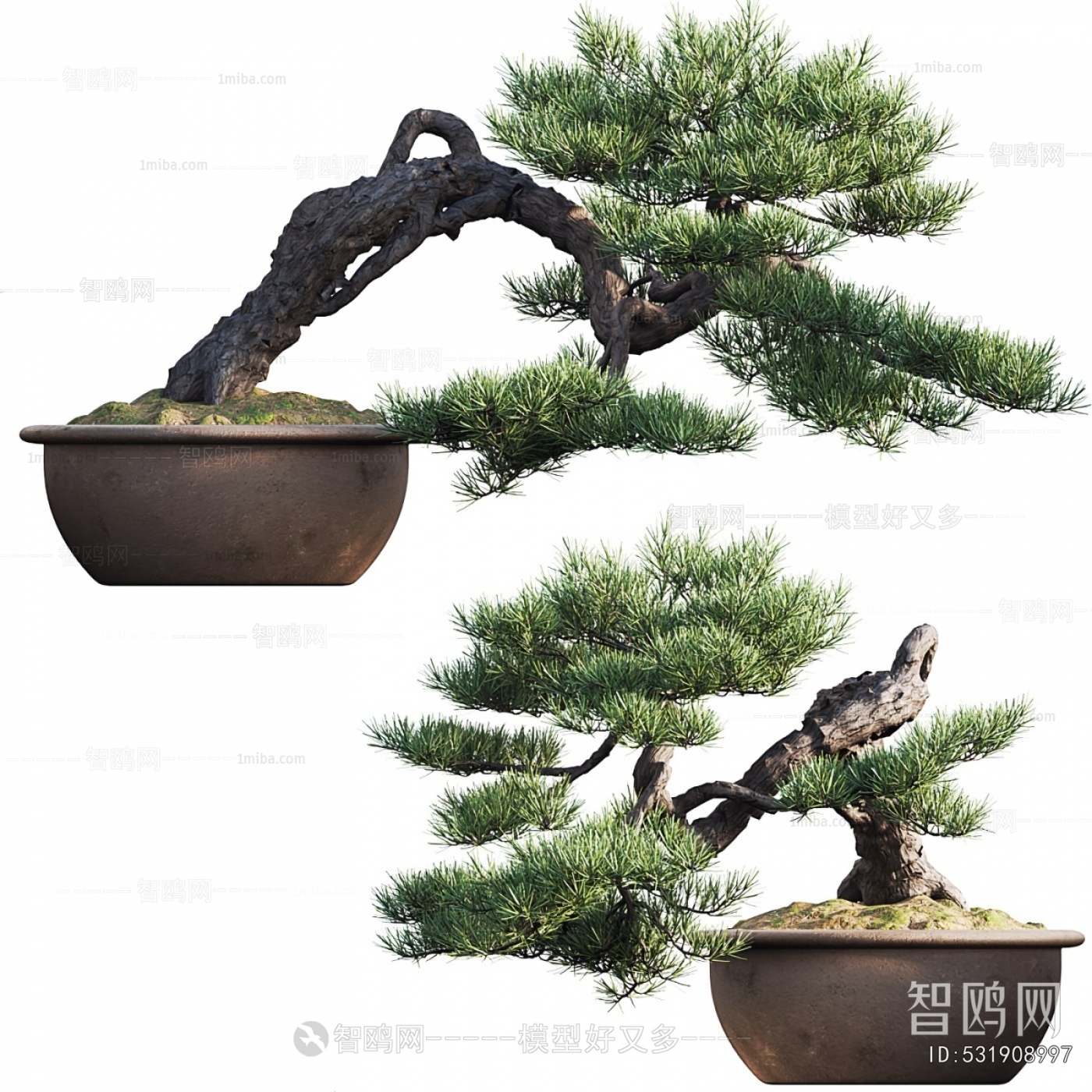 Modern Bonsai