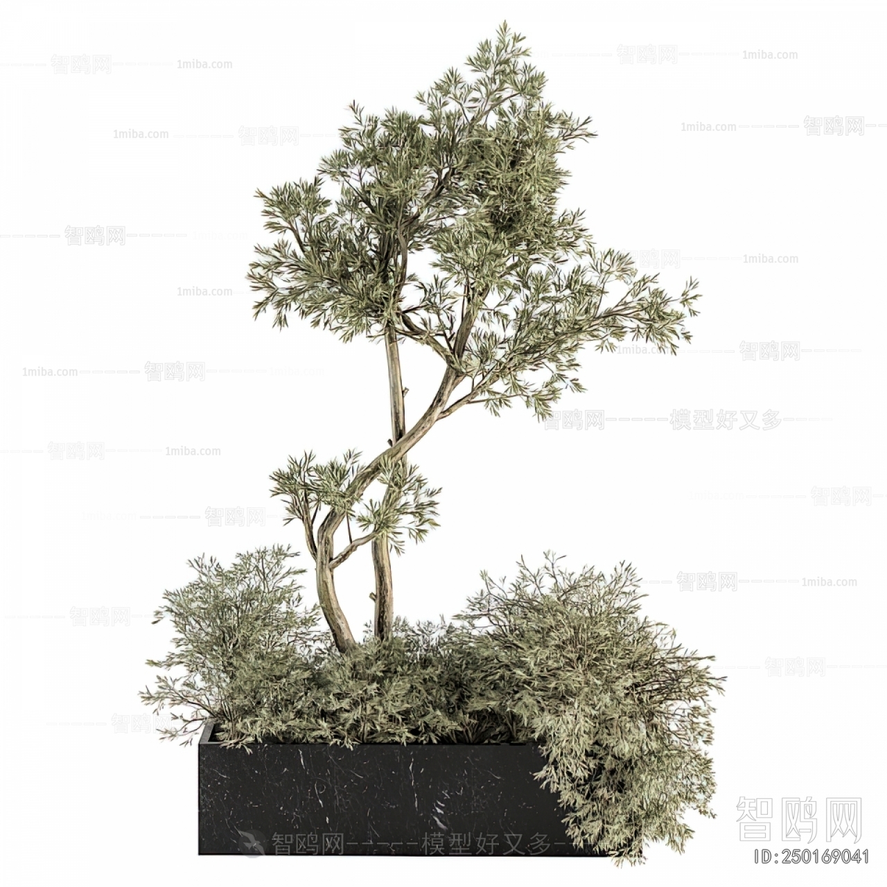 Modern Flower Bed, Flower Bowl, Flower Box