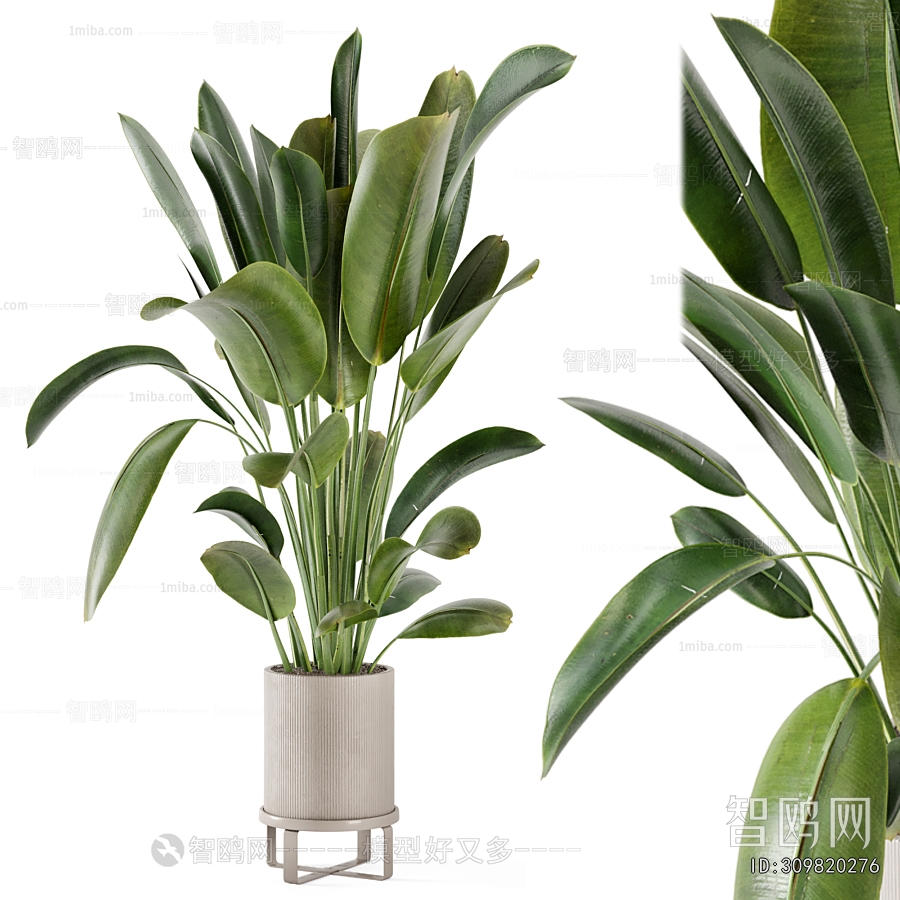 Modern Ground Green Plant Potted Plants