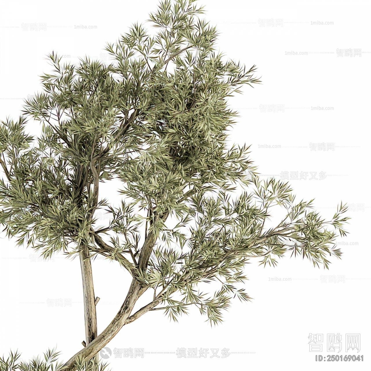 Modern Flower Bed, Flower Bowl, Flower Box