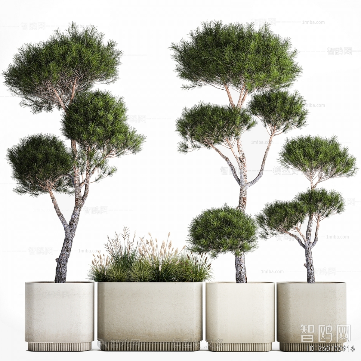 Modern Ground Green Plant Potted Plants