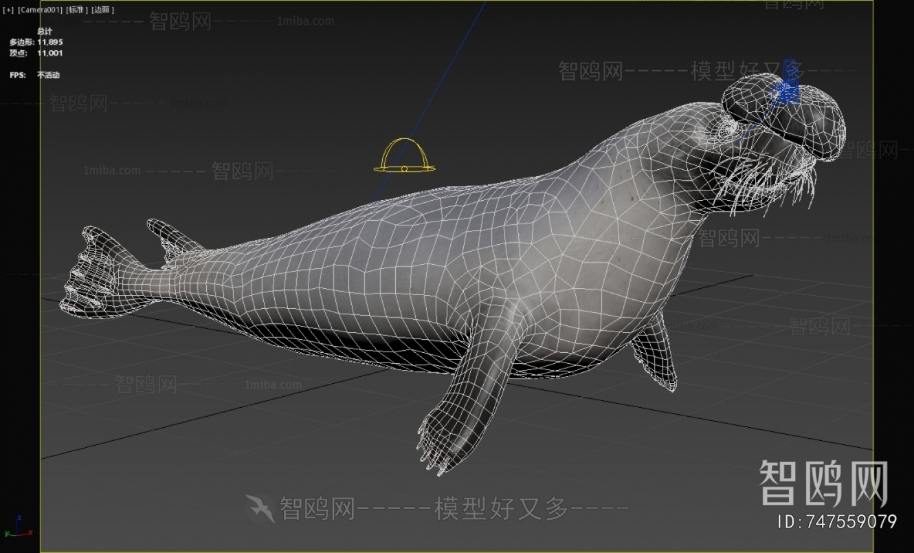 Modern Aquatic Animals