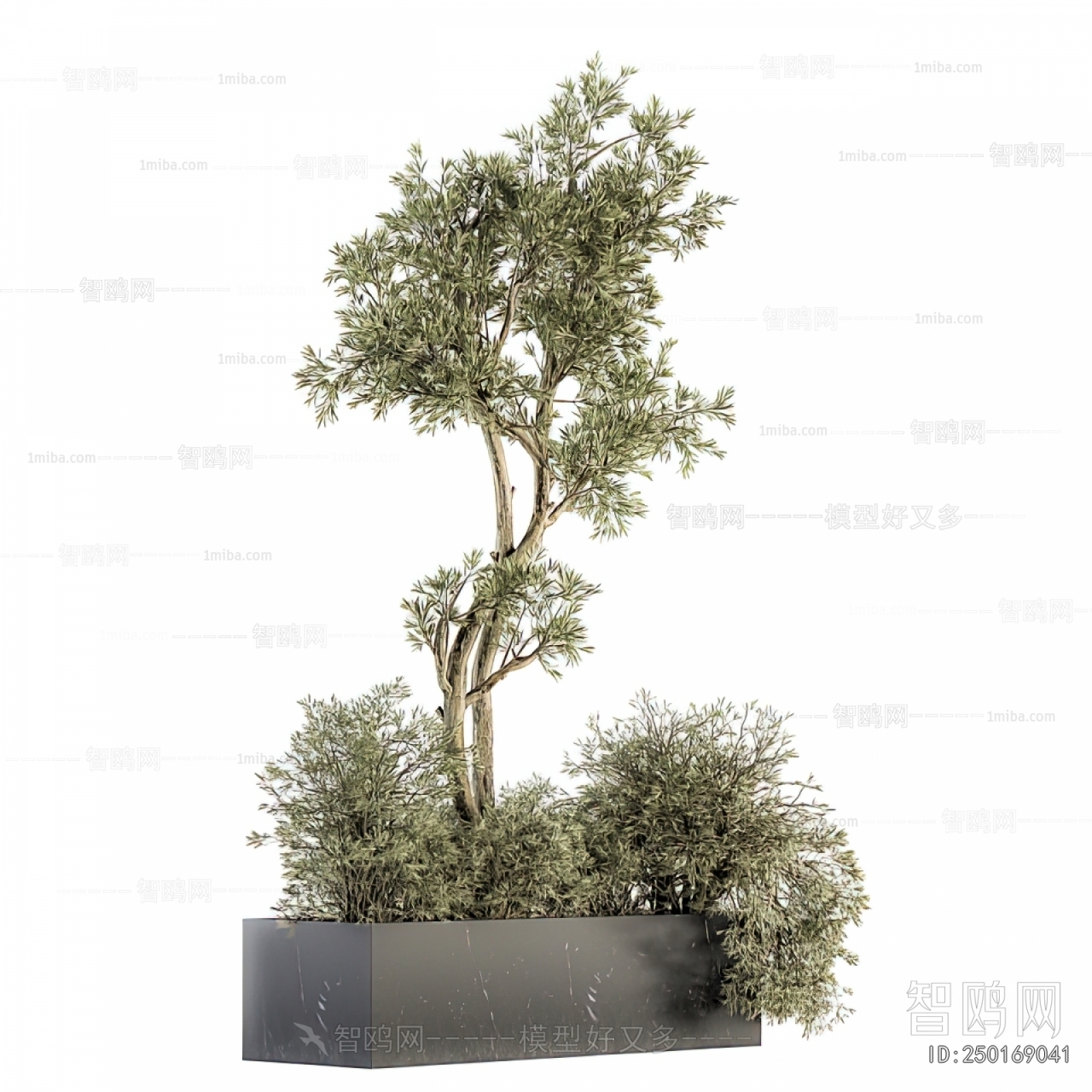 Modern Flower Bed, Flower Bowl, Flower Box