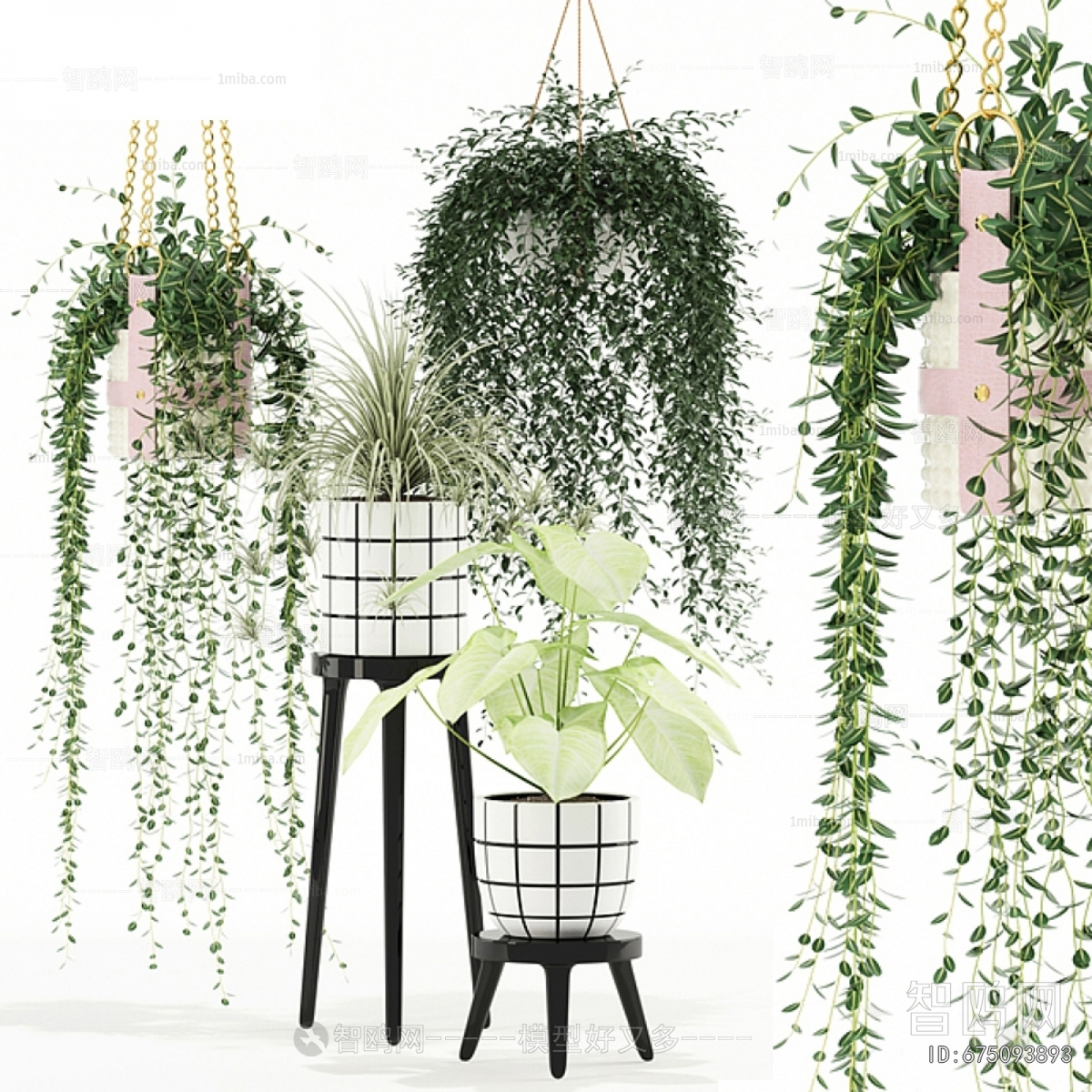 Modern Potted Green Plant