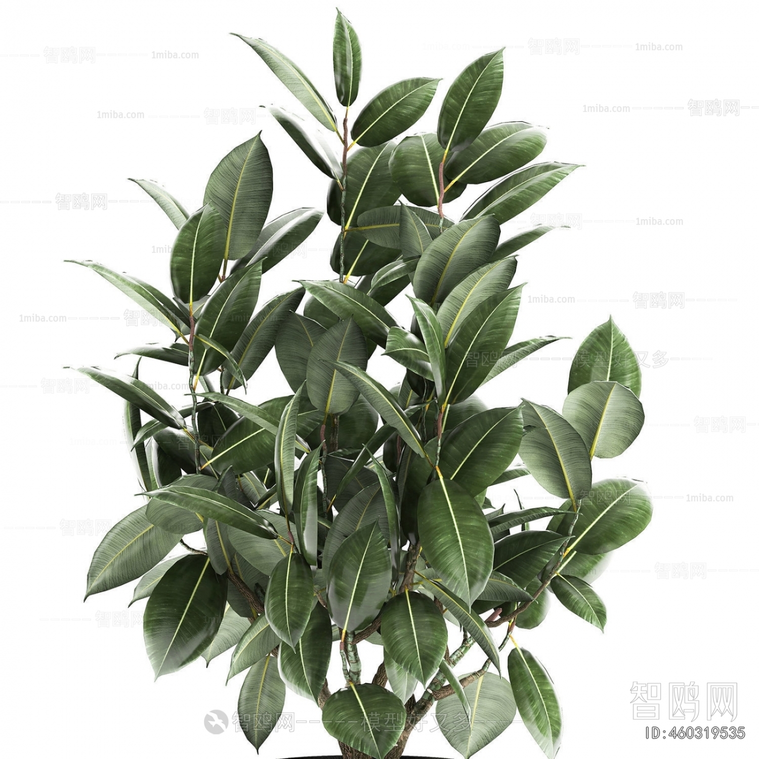 Modern Ground Green Plant Potted Plants
