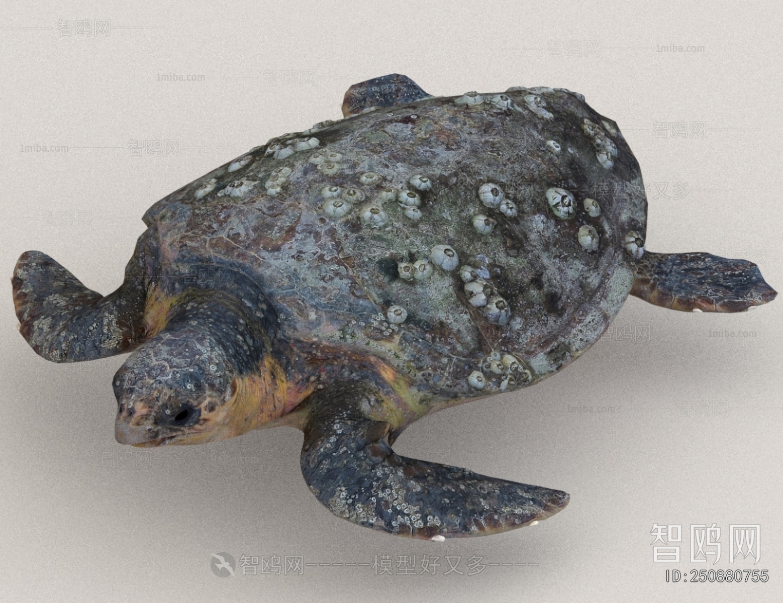 Modern Aquatic Animals