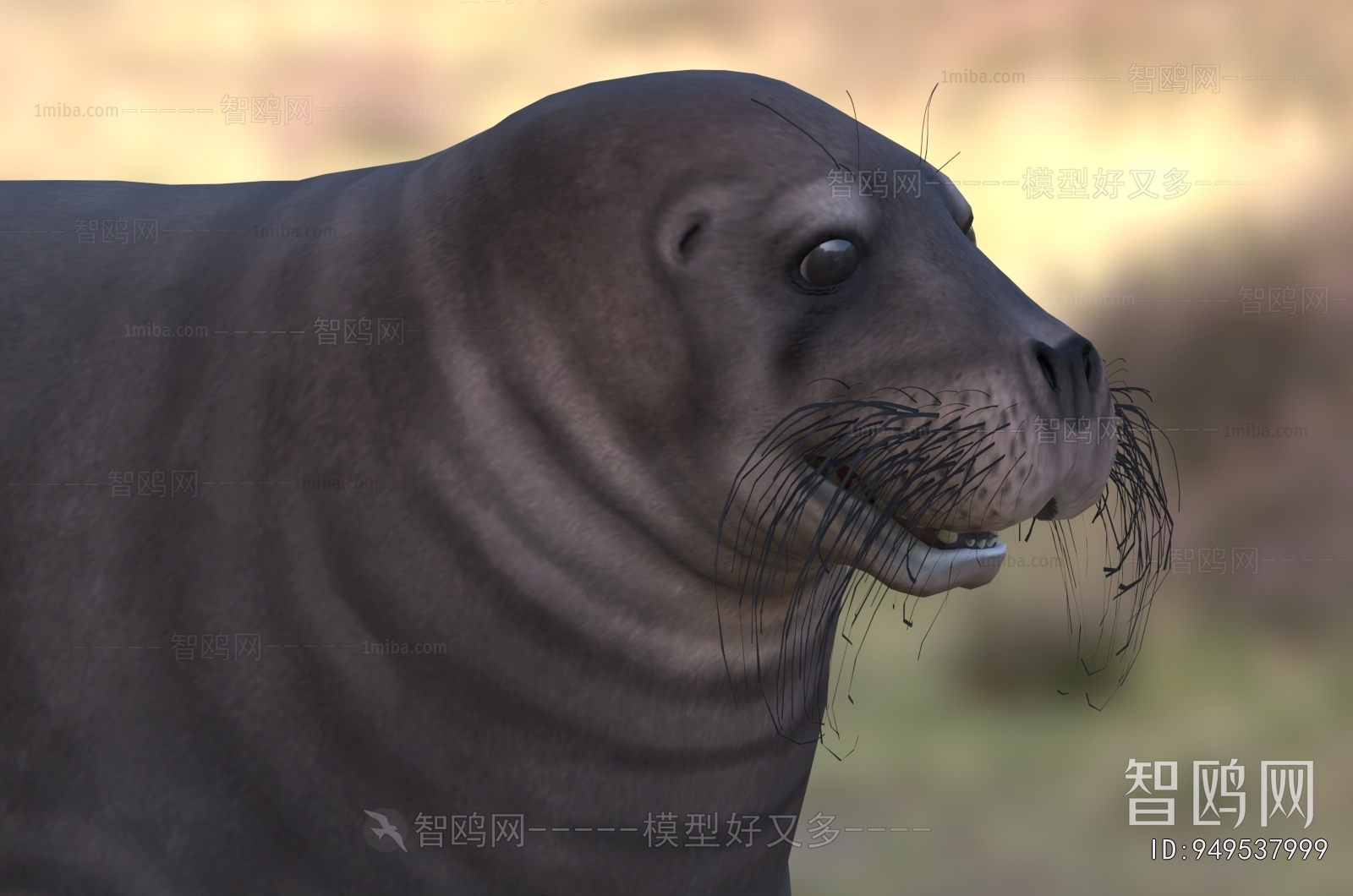 Modern Aquatic Animals