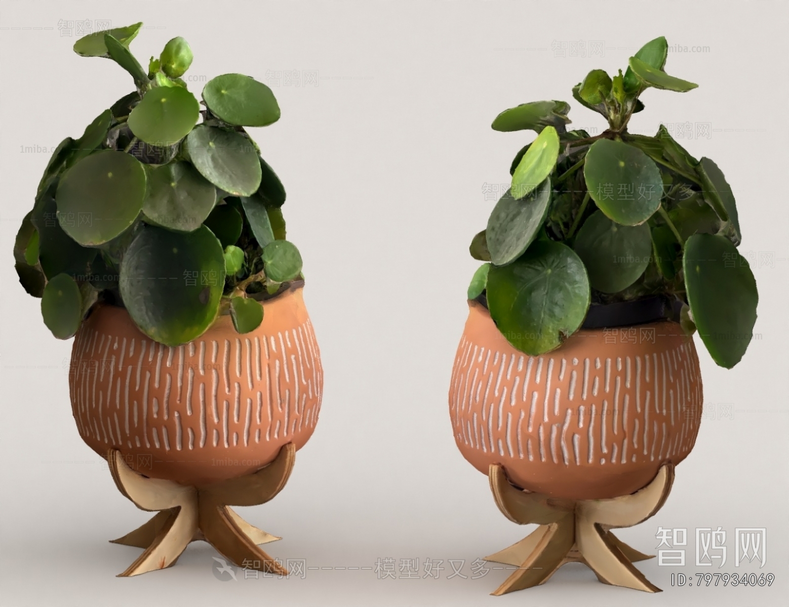 Modern Potted Green Plant