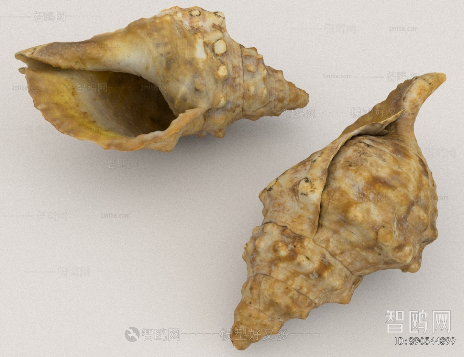 Modern Aquatic Animals