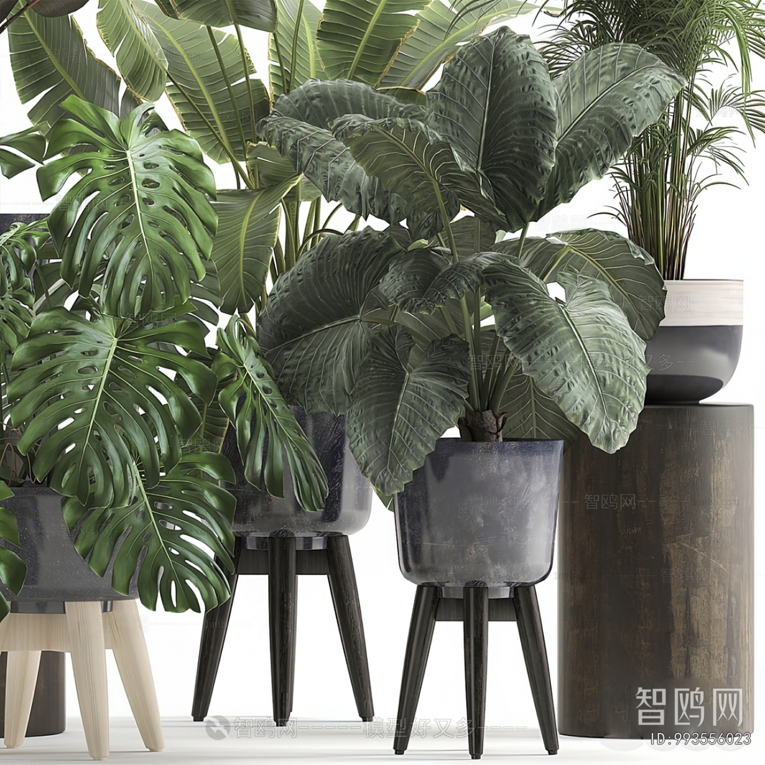 Modern Potted Green Plant