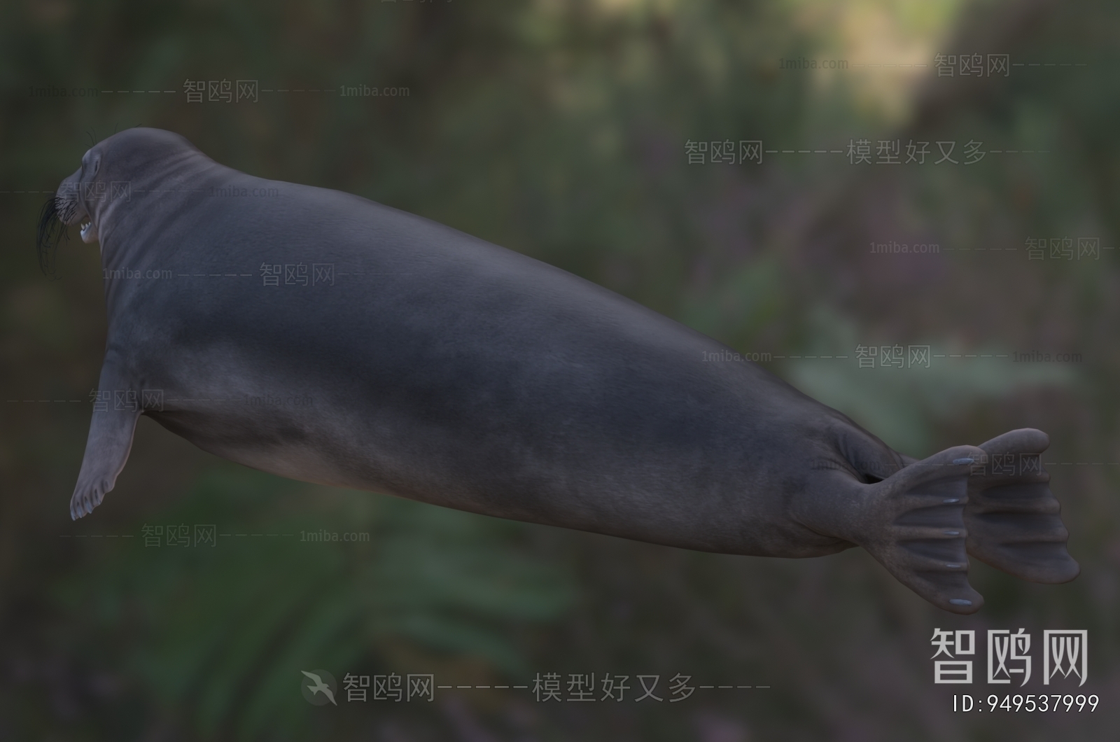 Modern Aquatic Animals