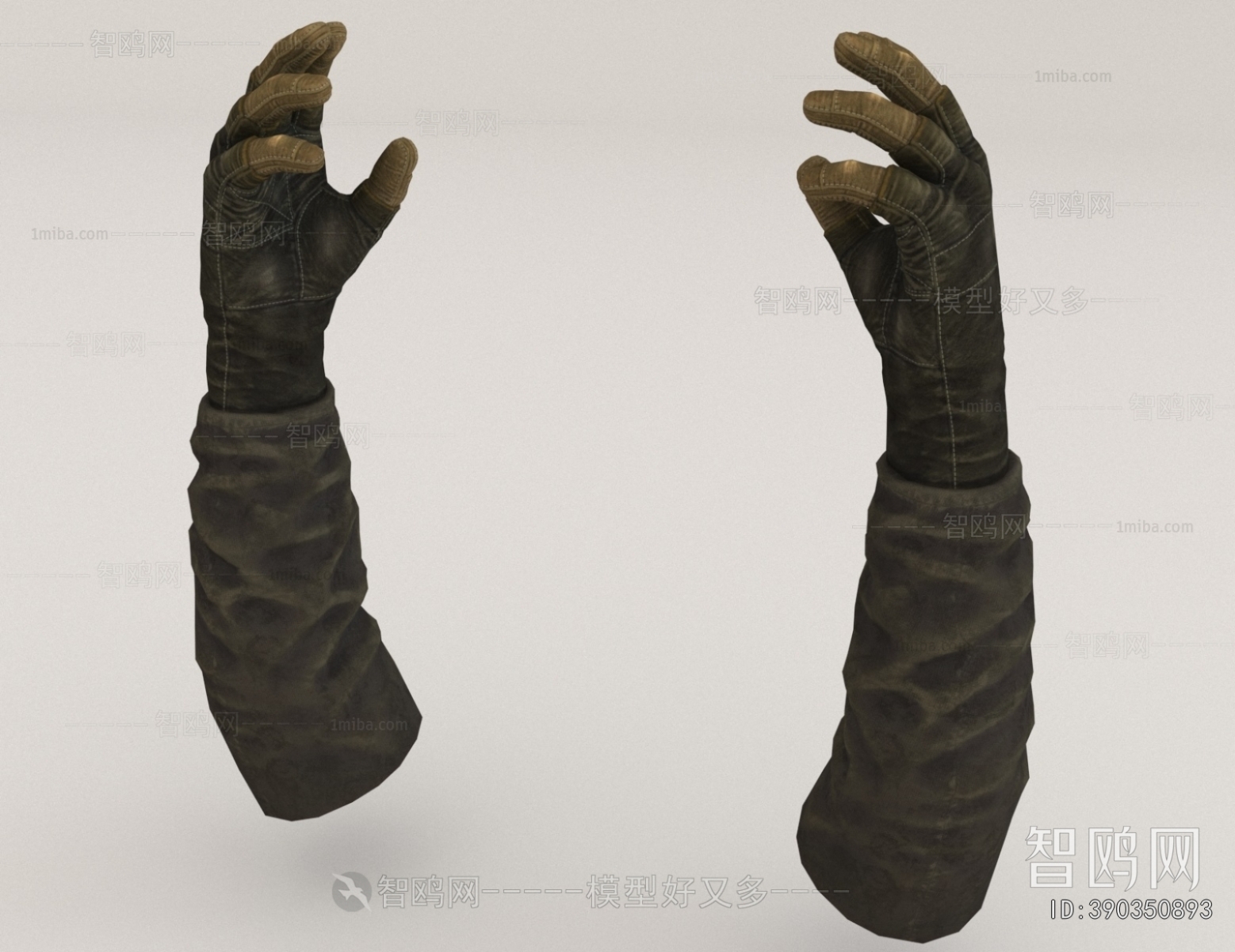 Modern Clothes, Bags And Shoes