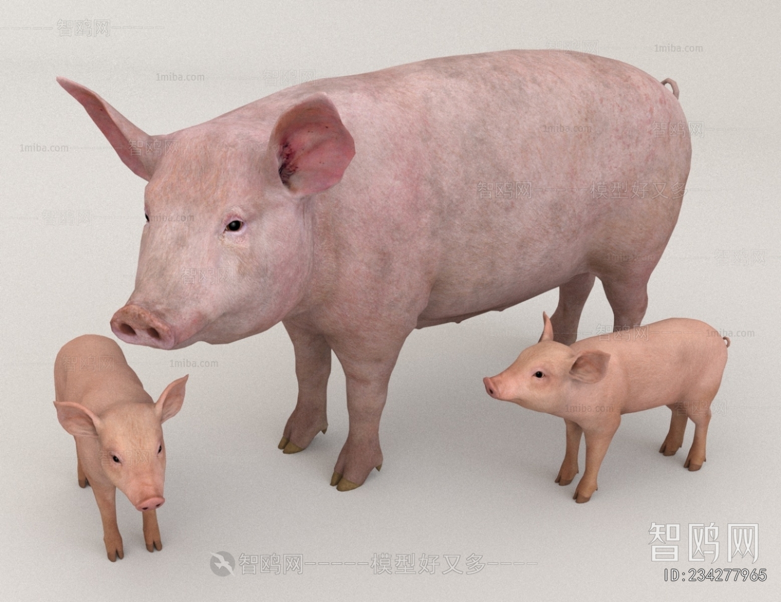 Modern Animal Pig