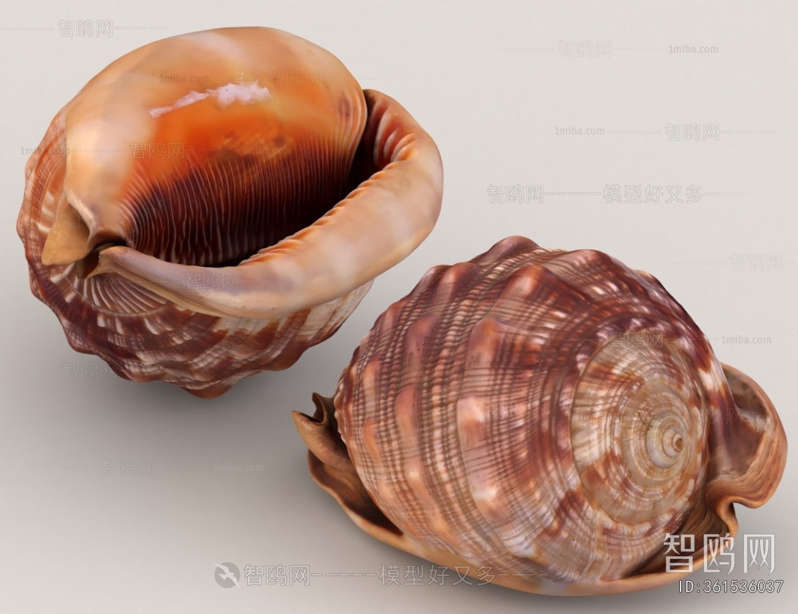 Modern Aquatic Animals