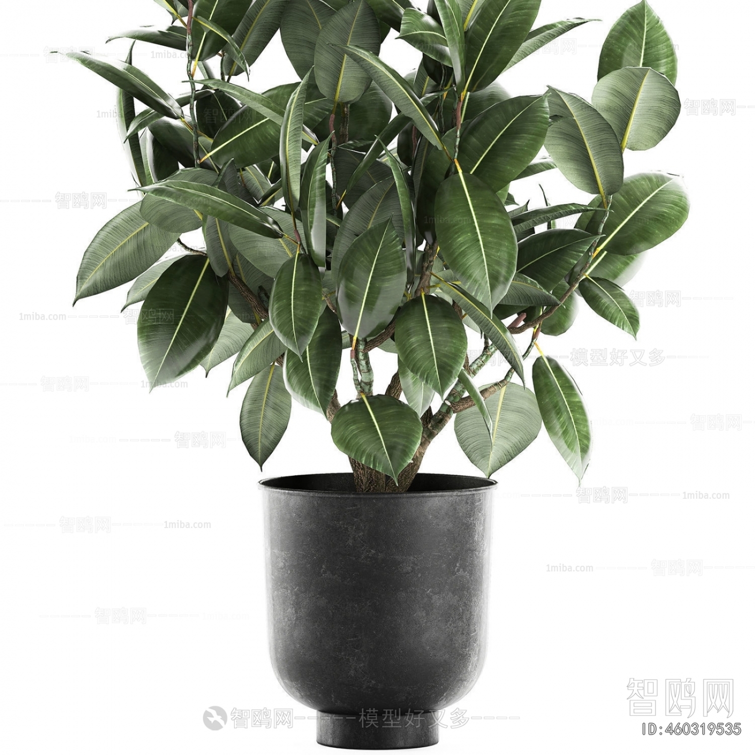 Modern Ground Green Plant Potted Plants