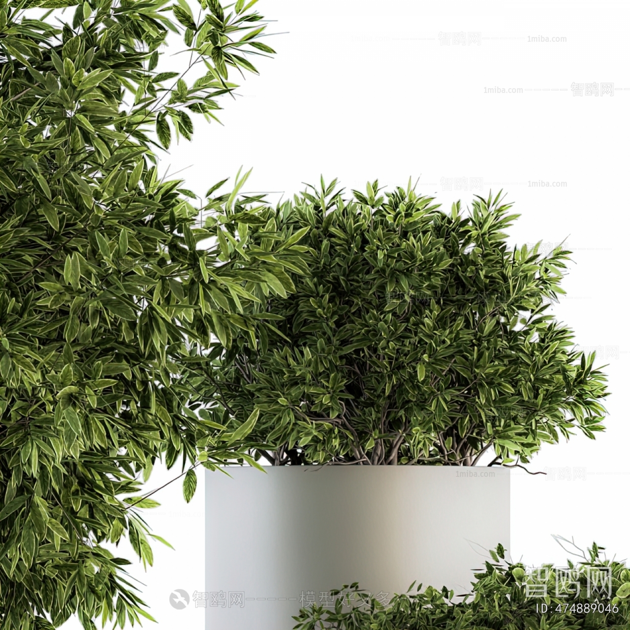 Modern Ground Green Plant Potted Plants