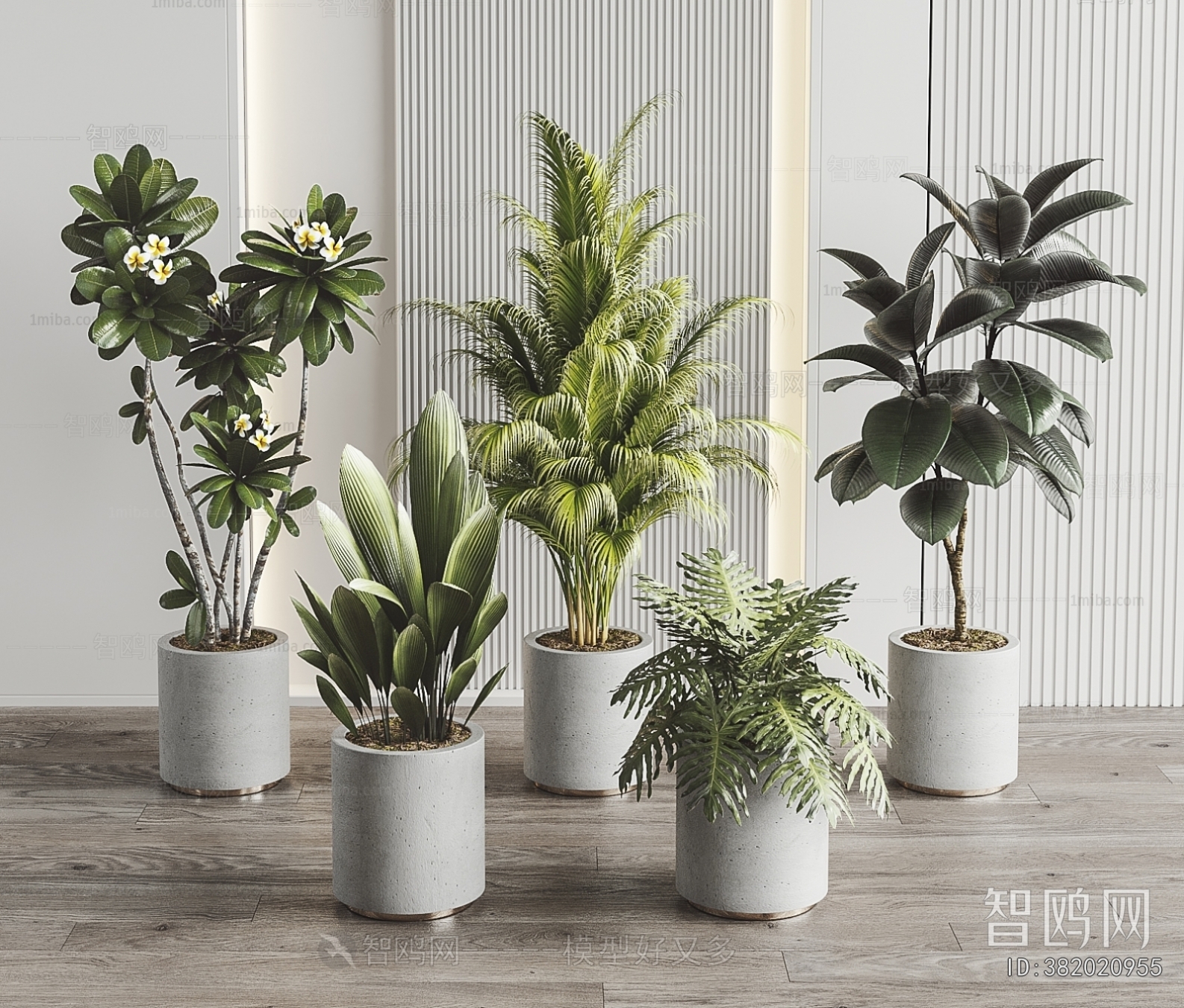 Modern Ground Green Plant Potted Plants