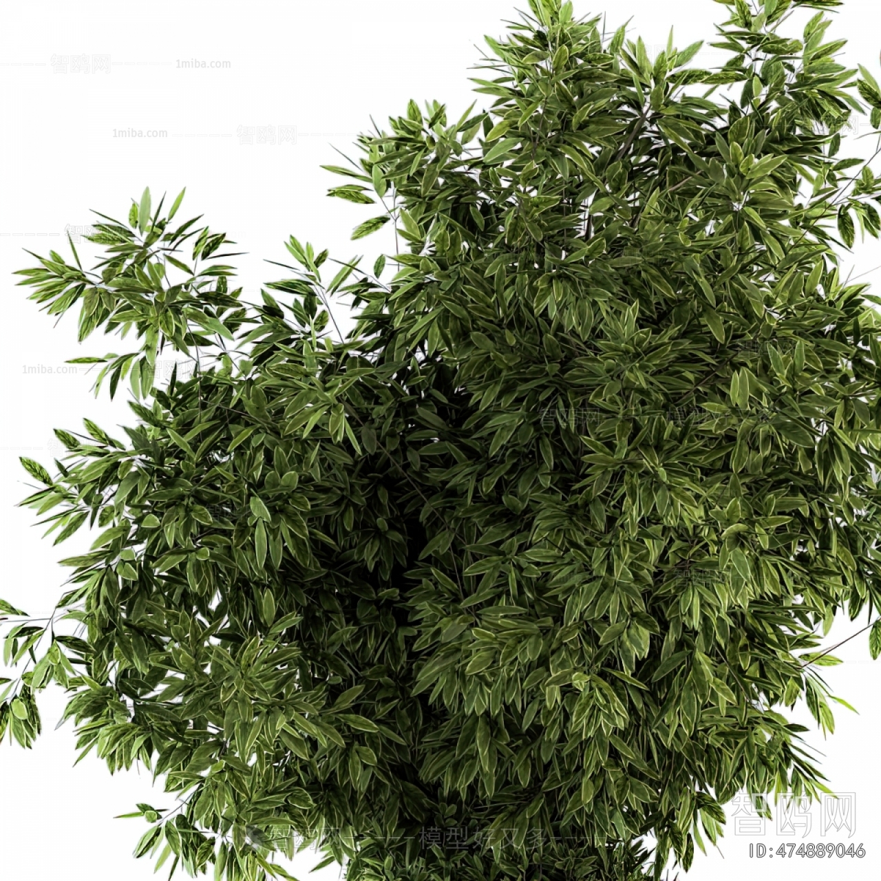 Modern Ground Green Plant Potted Plants