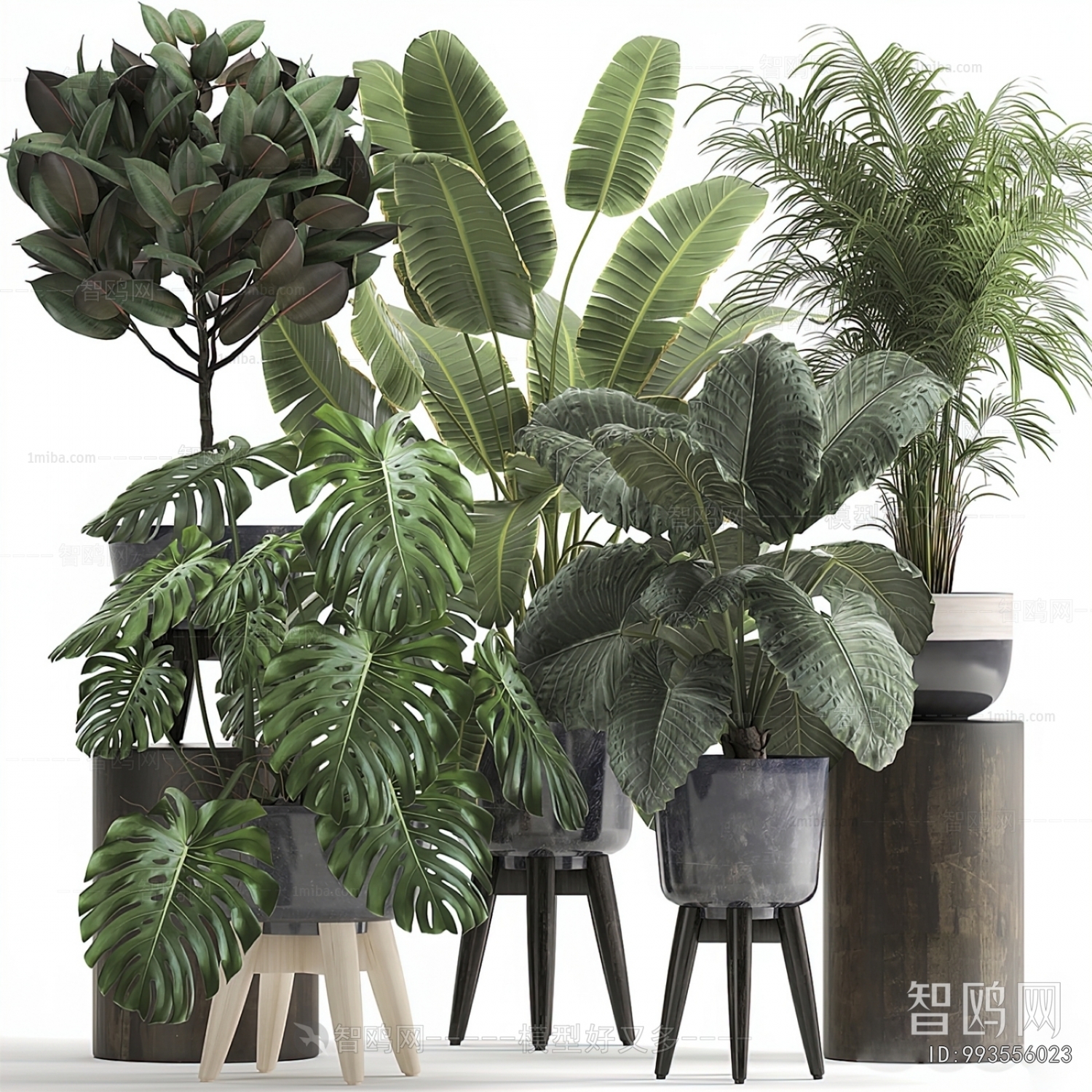 Modern Potted Green Plant