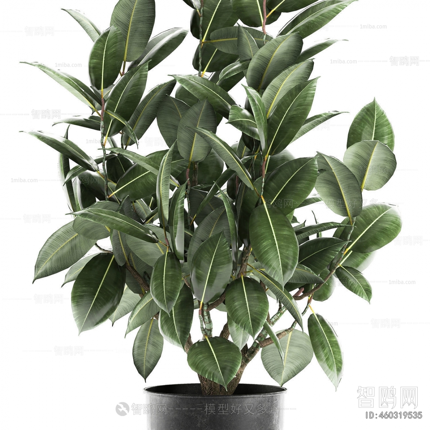 Modern Ground Green Plant Potted Plants