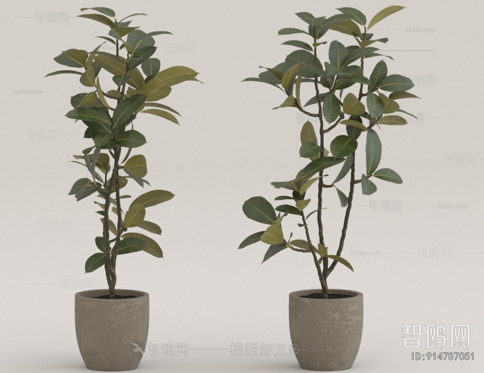 Modern Ground Green Plant Potted Plants