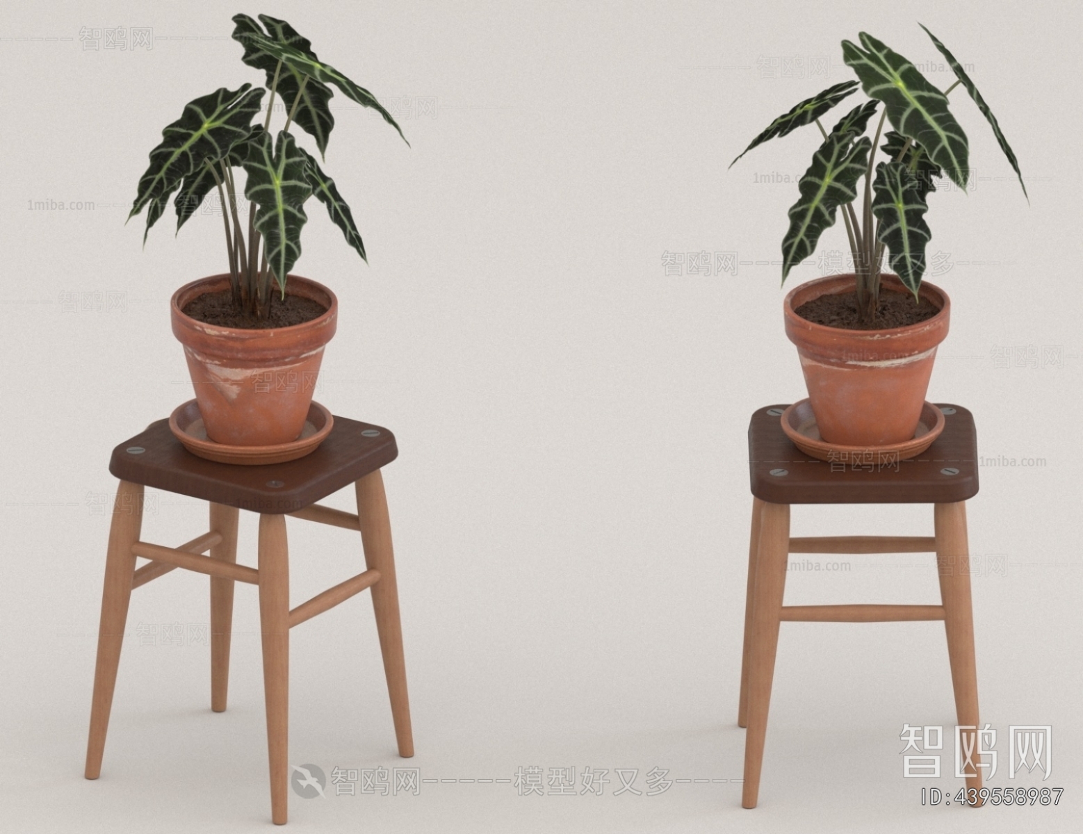 Modern Potted Green Plant