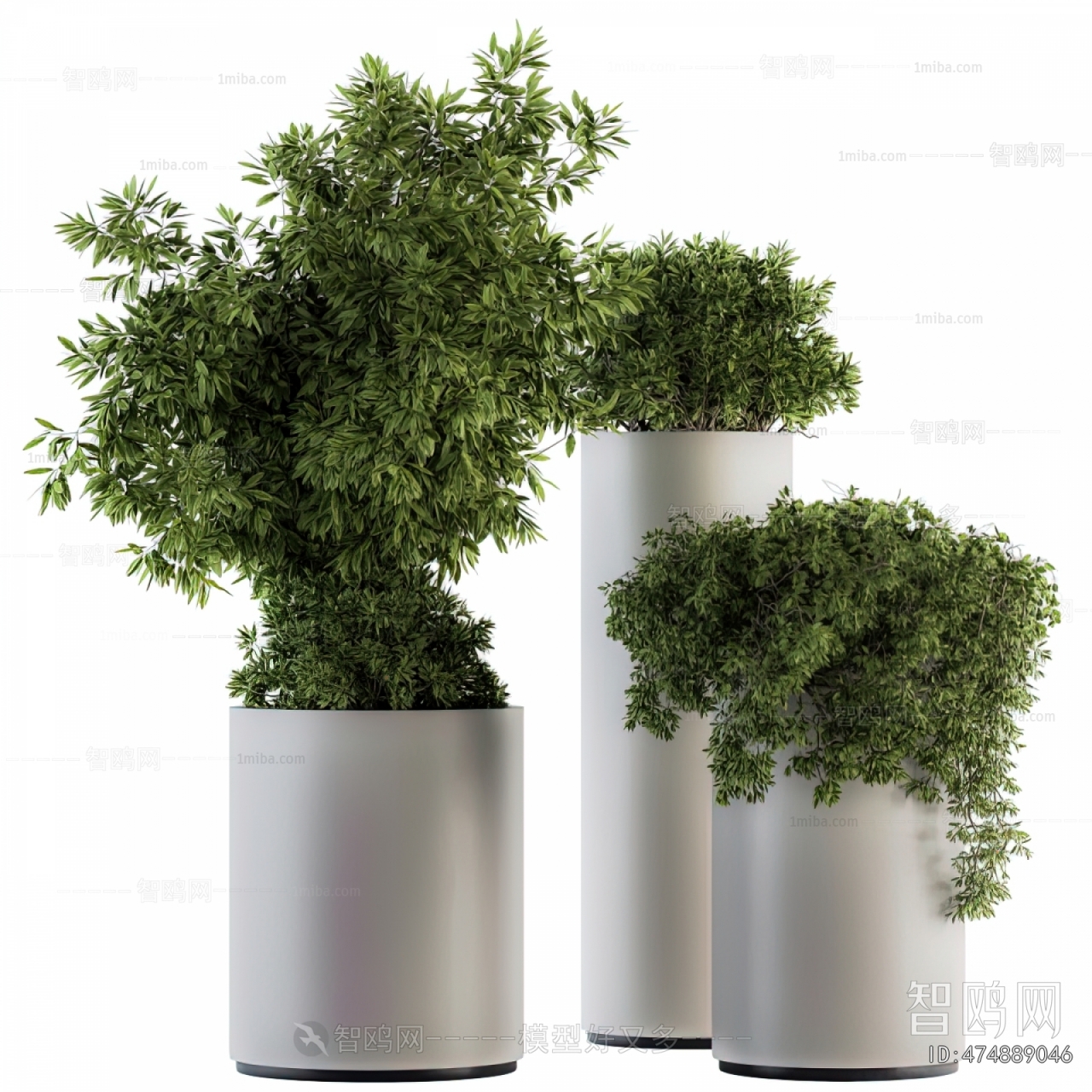 Modern Ground Green Plant Potted Plants