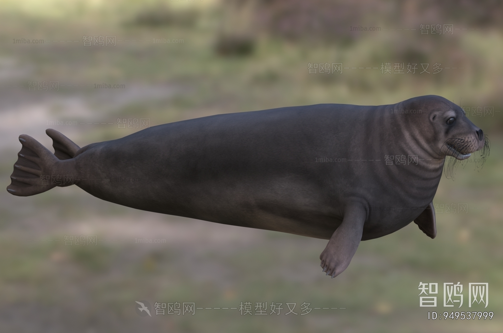 Modern Aquatic Animals