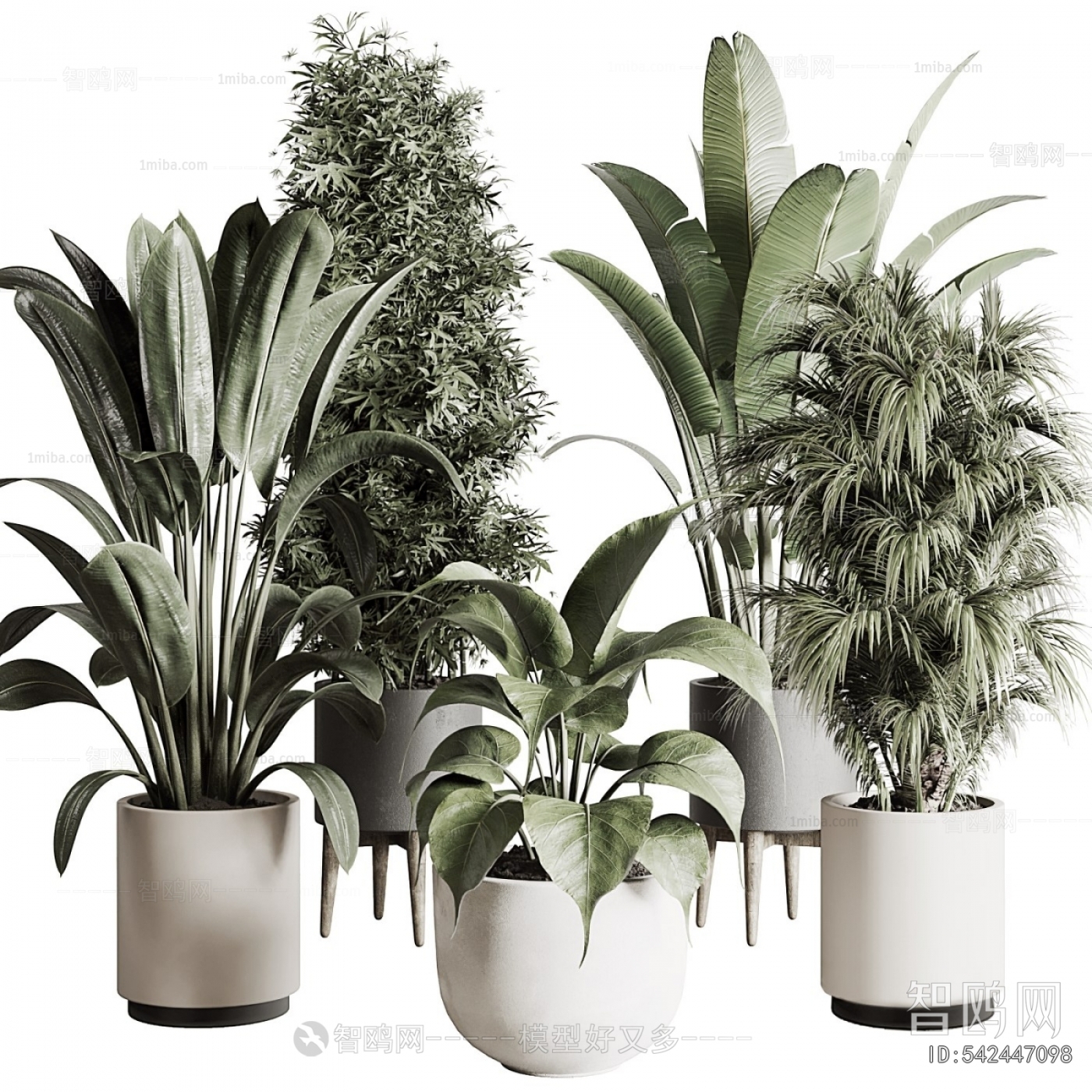 Modern Ground Green Plant Potted Plants