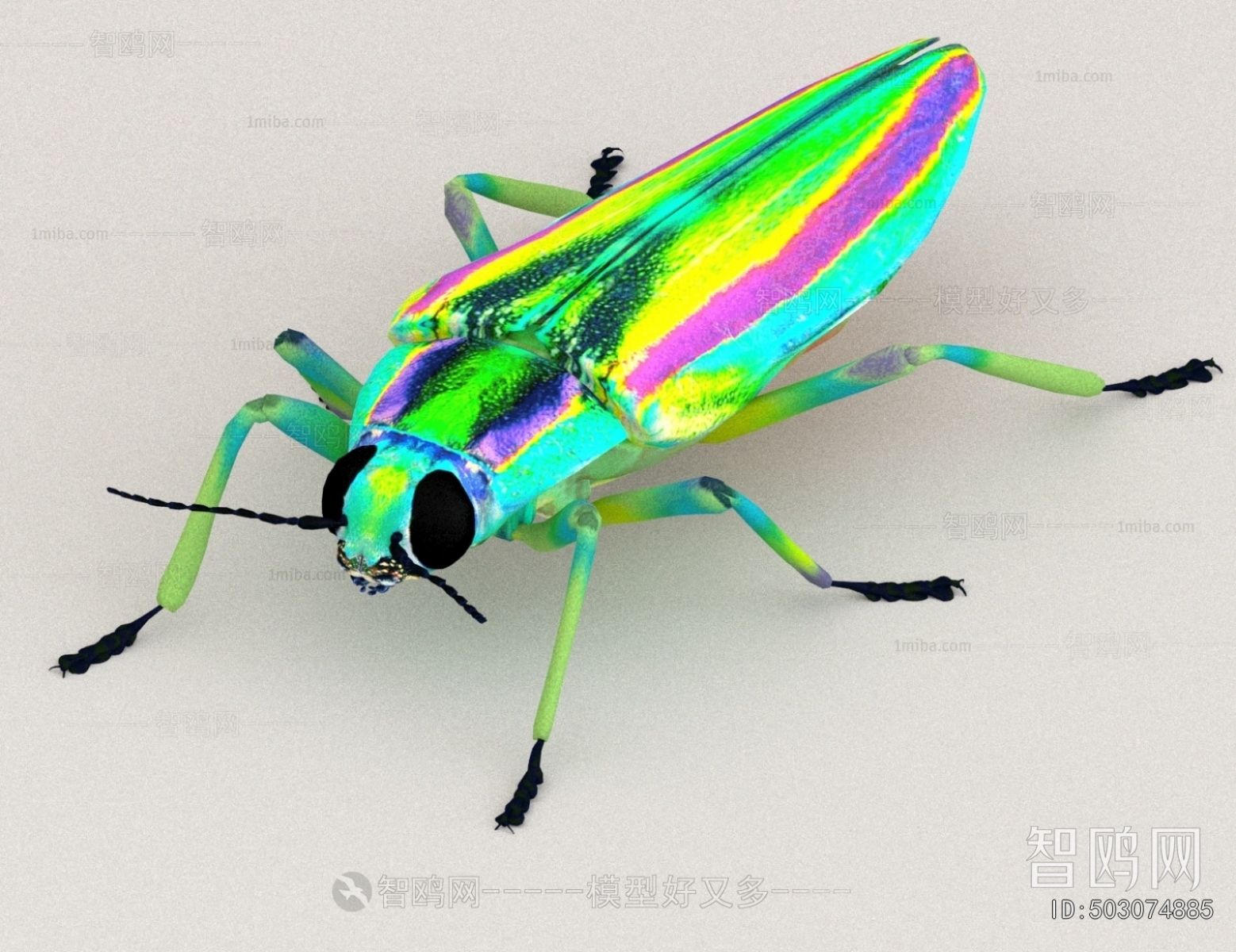 Modern Other Animals