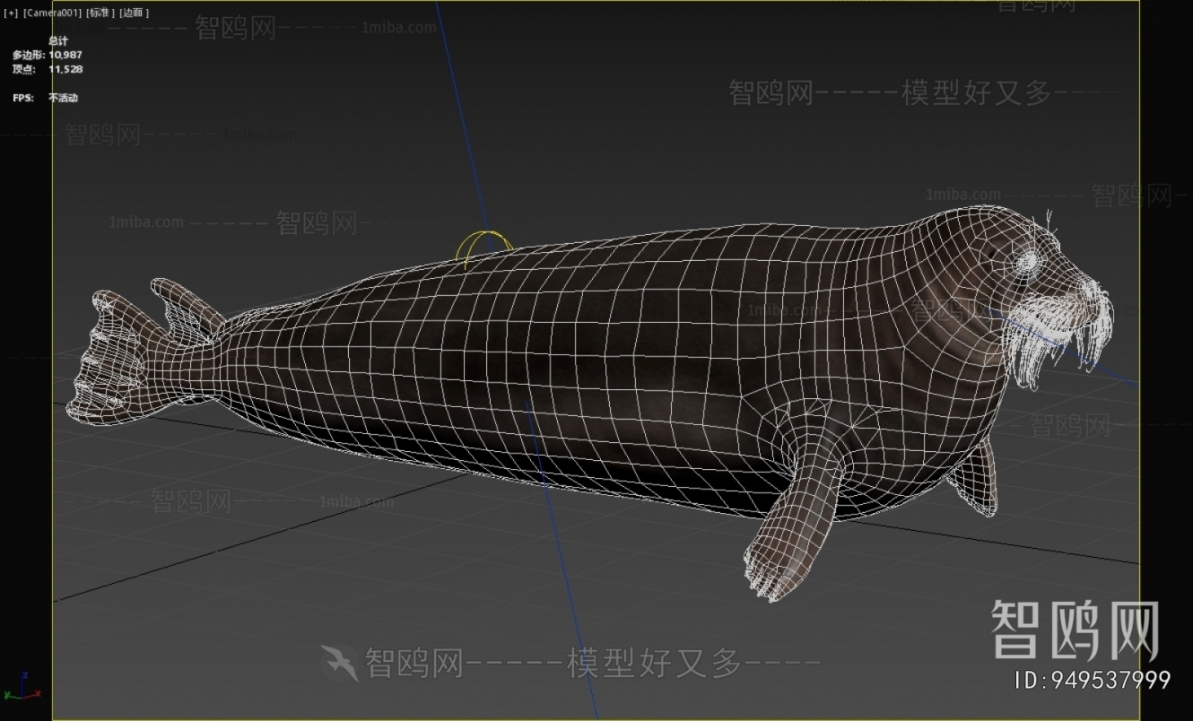 Modern Aquatic Animals