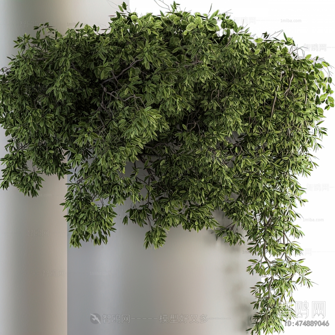 Modern Ground Green Plant Potted Plants