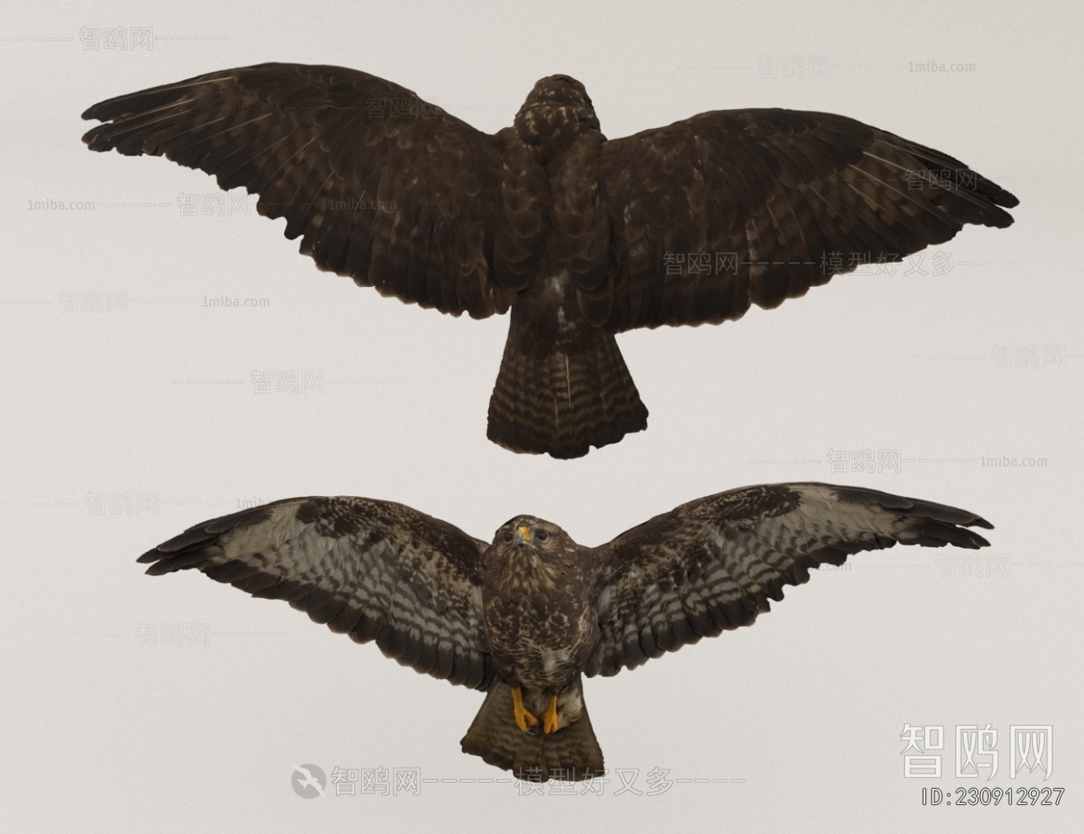 Modern Flying Animals