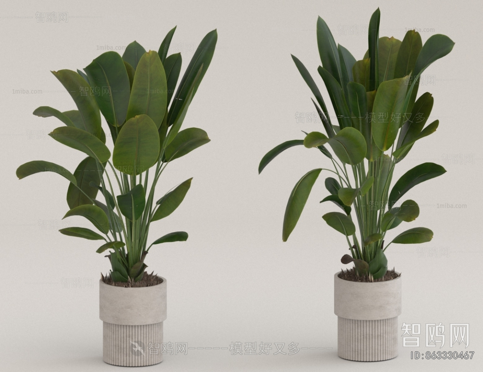 Modern Ground Green Plant Potted Plants