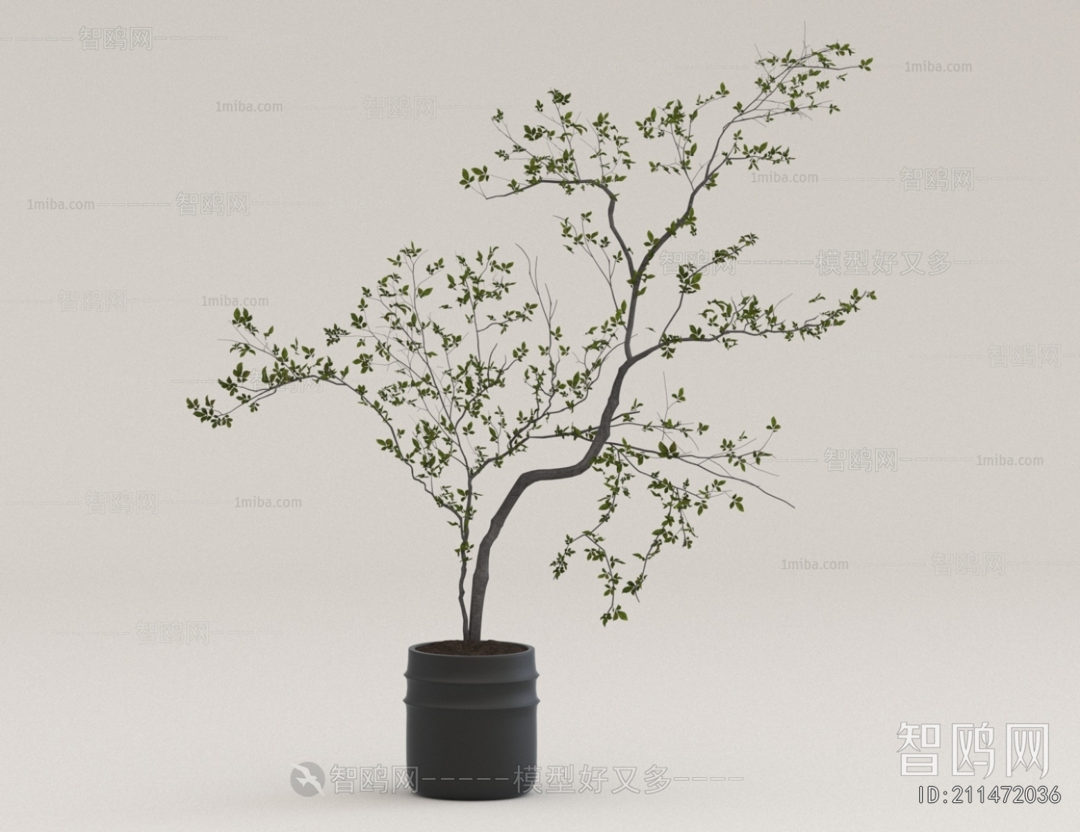 Modern Ground Green Plant Potted Plants