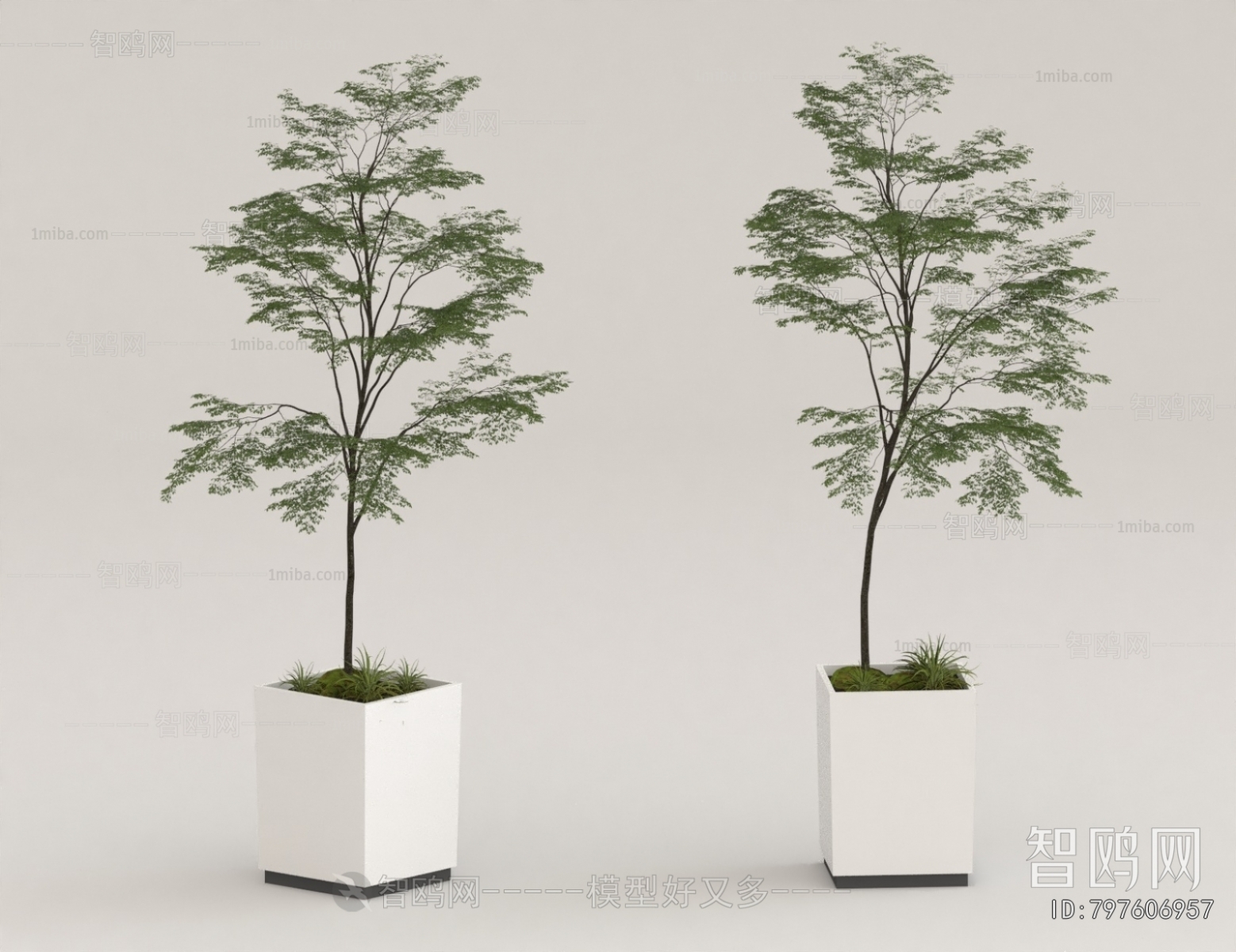 Modern Ground Green Plant Potted Plants