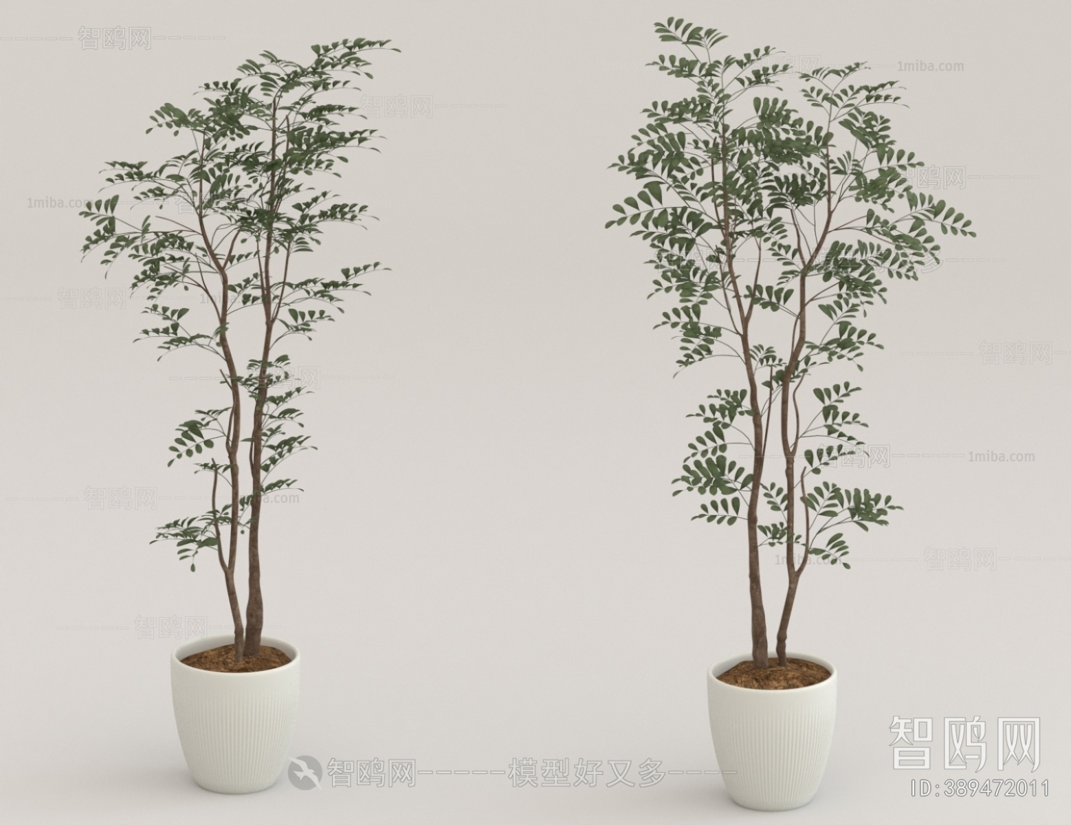 Modern Ground Green Plant Potted Plants