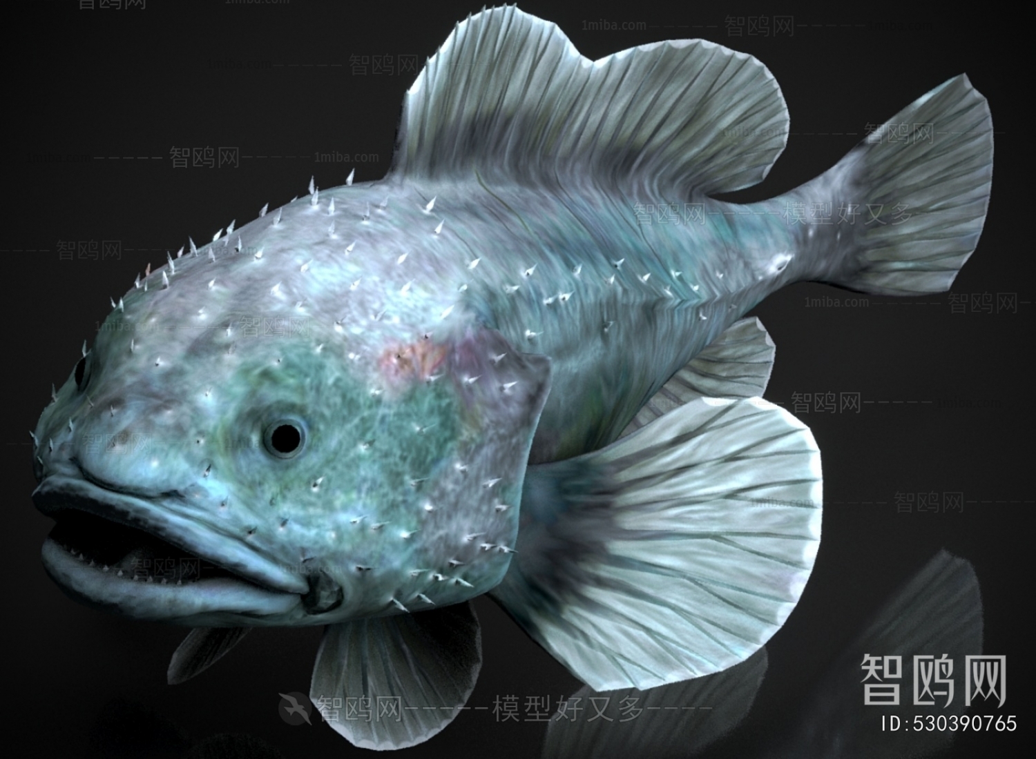 Modern Aquatic Animals