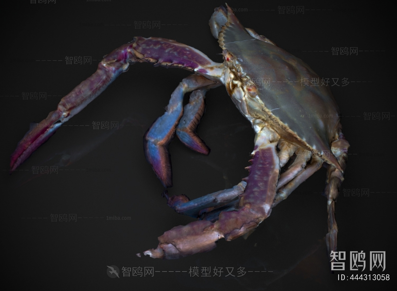 Modern Aquatic Animals