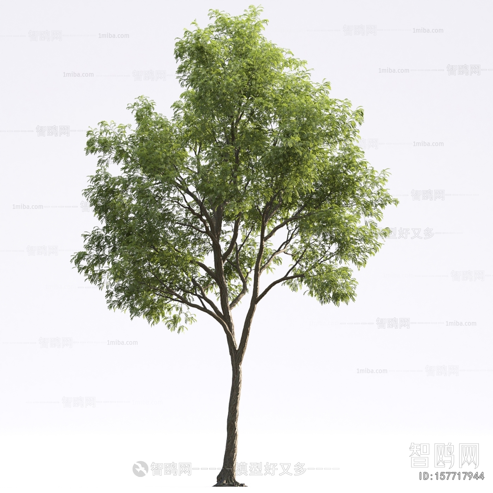 Modern Tree