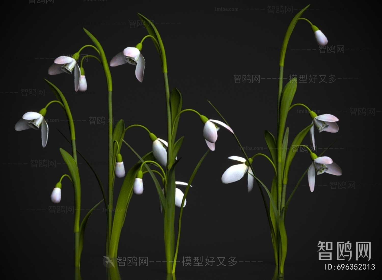 Modern Flowers And Grass