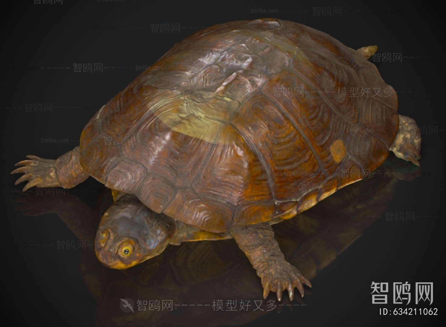 Modern Aquatic Animals