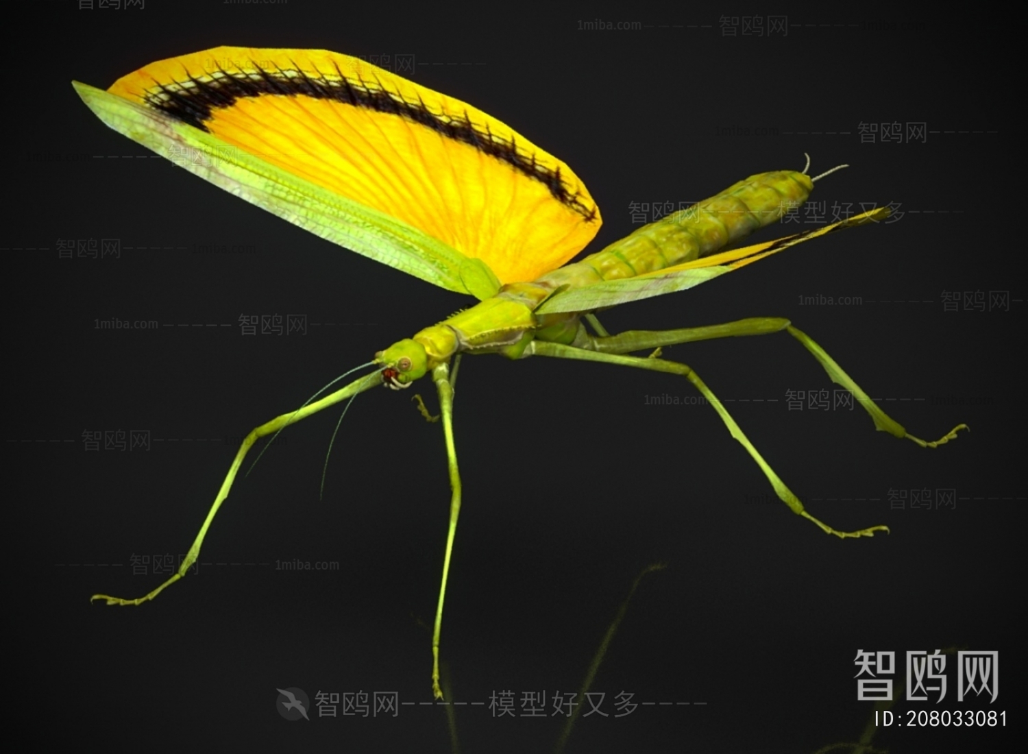 Modern Other Animals