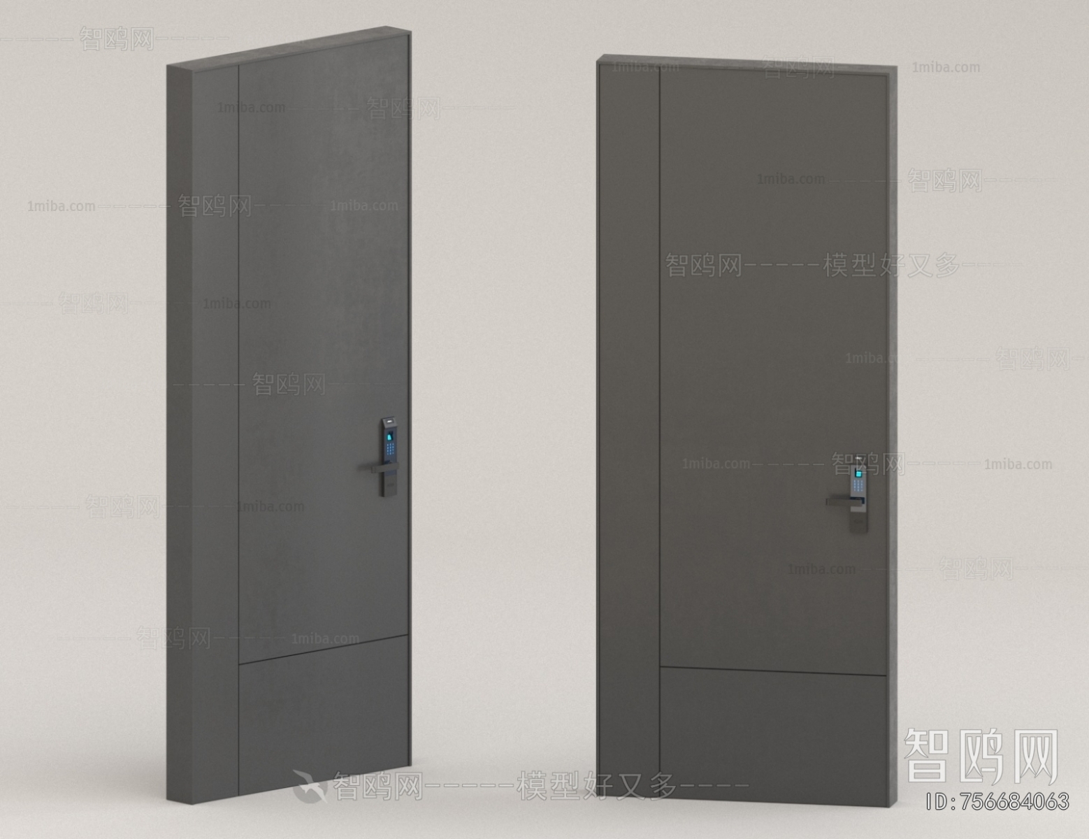 Modern Entrance Door