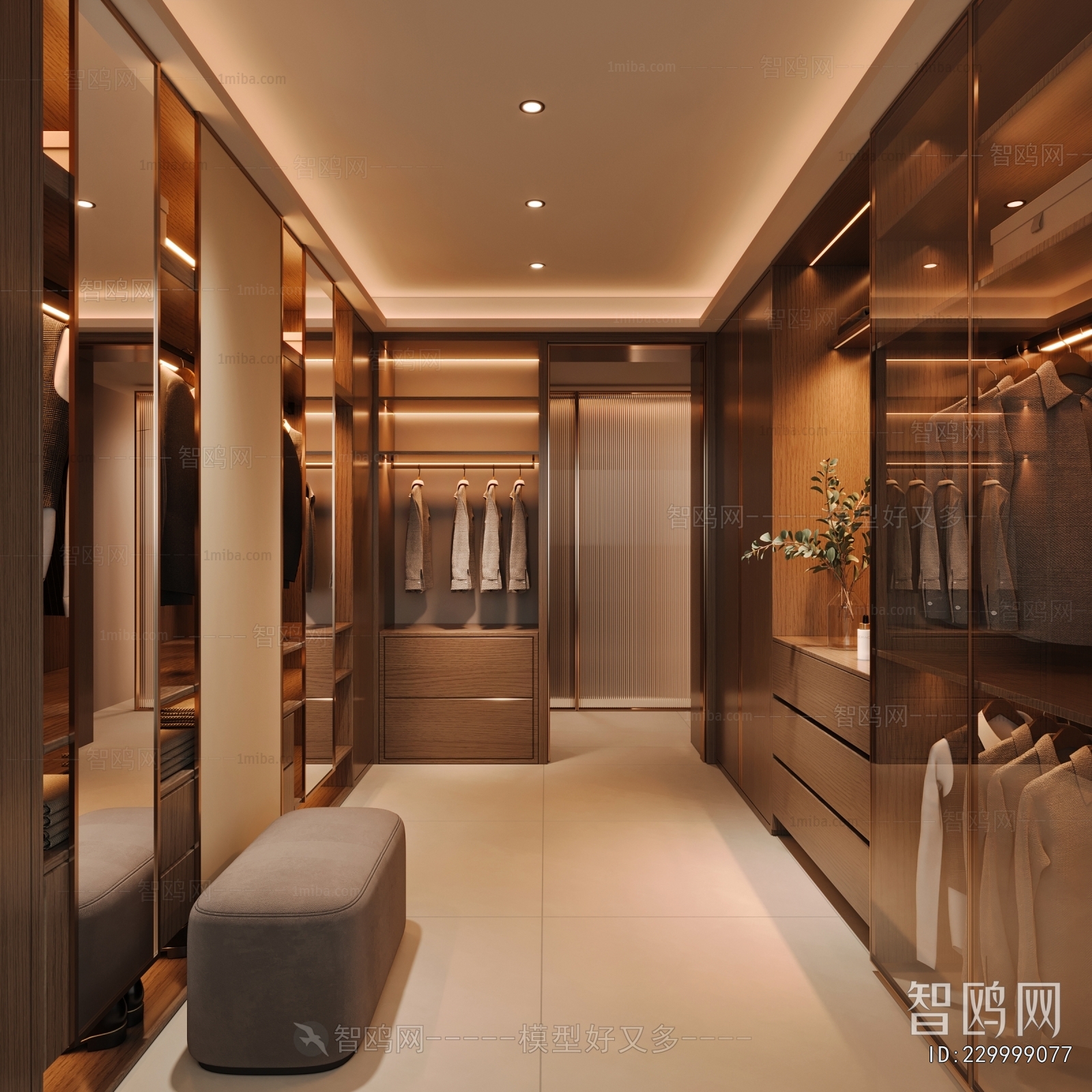 Modern Clothes Storage Area