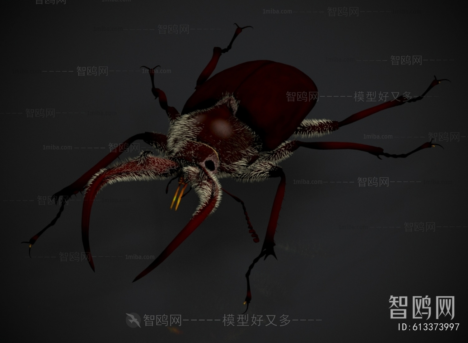 Modern Other Animals