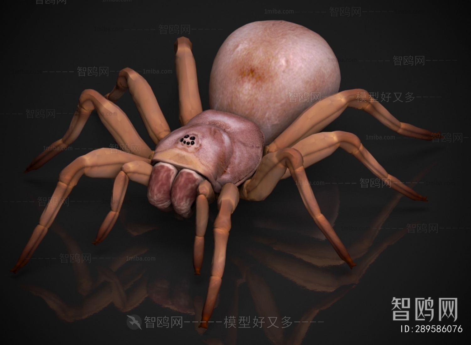 Modern Other Animals