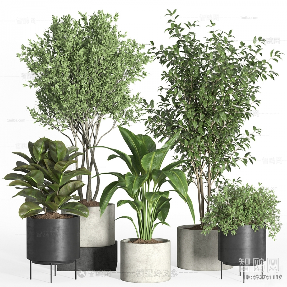 Modern Ground Green Plant Potted Plants
